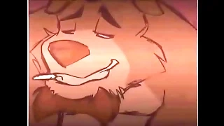 Canis x Bobo